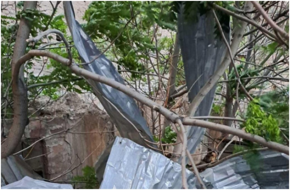 Քամու հետևանքով գրանցվել է 57 արտակարգ դեպք